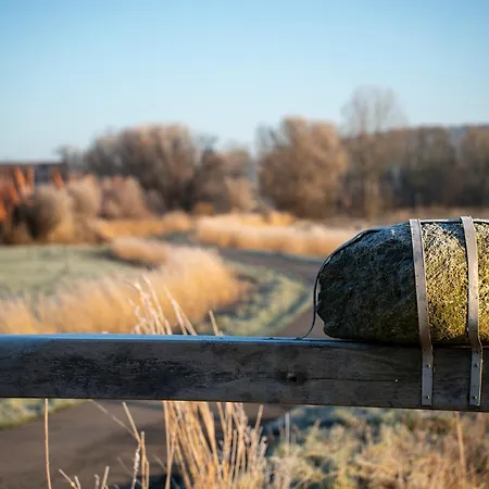 Deichblick Lilli Marleen 5-17