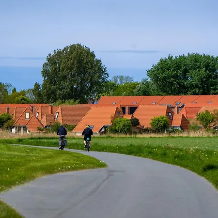 Apartment Deichblick Lilli Marleen 5-17 *