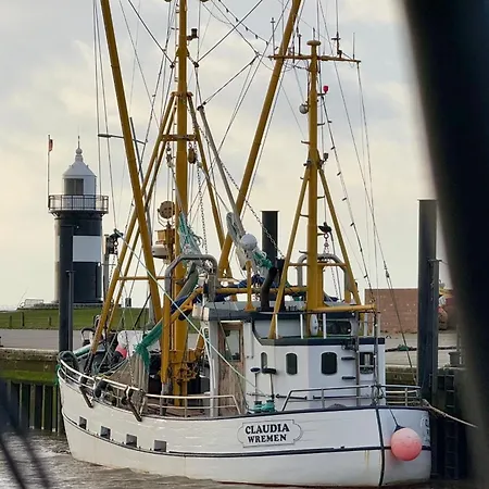 Deichblick Lilli Marleen 5-17